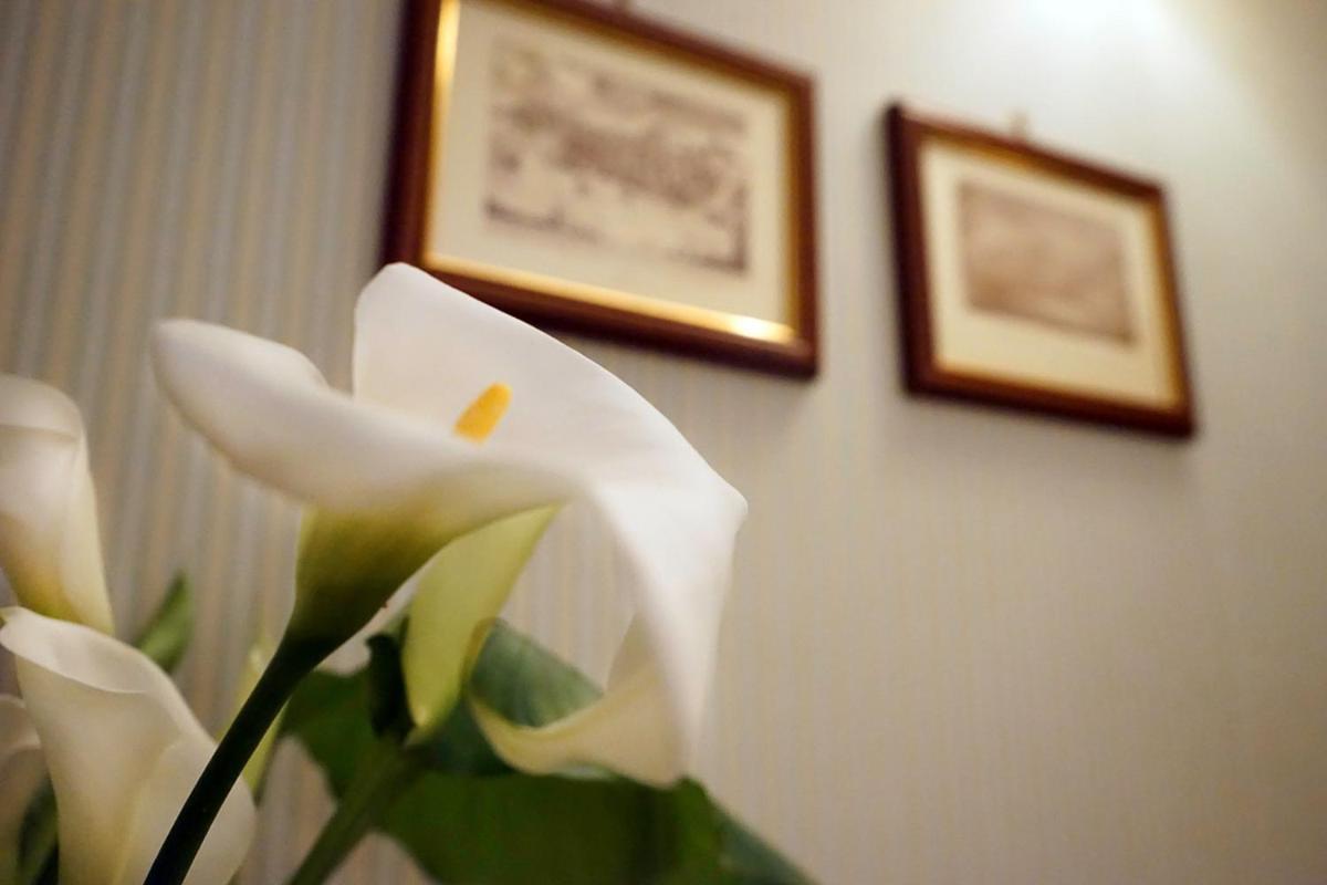 Hotel Incontro アリアーノ・イルピーノ エクステリア 写真